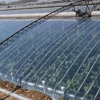 PO High-Transparency Anti-Fog Greenhouse Film