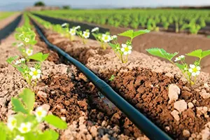 Irrigation Pipe Machines