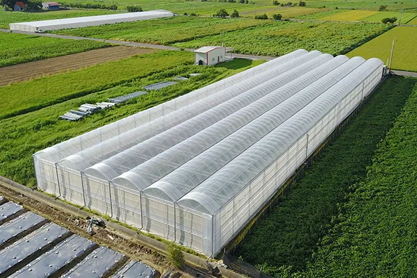 Agricultural Film Blowing Machine