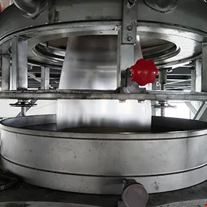 Co-extrusion die head