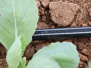 Drip Tape (T-TAPE), with Continuous Strip Dripper