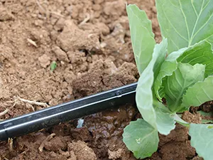 Drip Tape (T-TAPE), with Continuous Strip Dripper