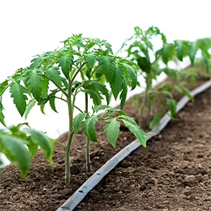 Product Applications