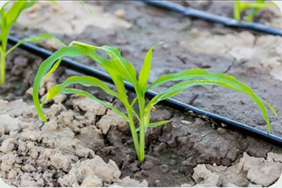 Product Applications