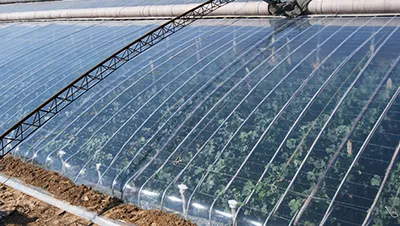 Inner anti-fog coating layer and outer aging-resistant layer