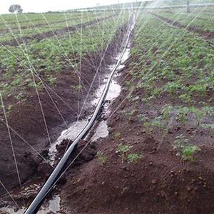 Product Applications