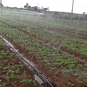 Product Applications