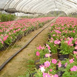 Product Applications