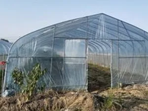 PVC agricultural covering film