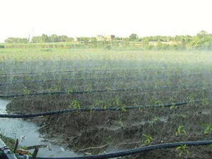 Product Applications