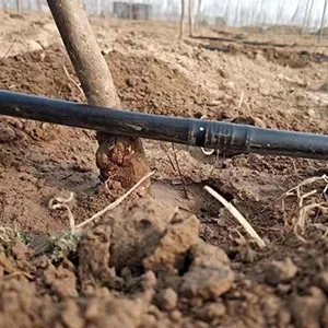 Product Applications