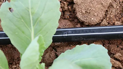 Product Applications